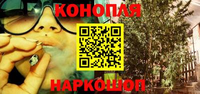 гашик Пыть-Ях