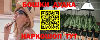 гашик Пыть-Ях