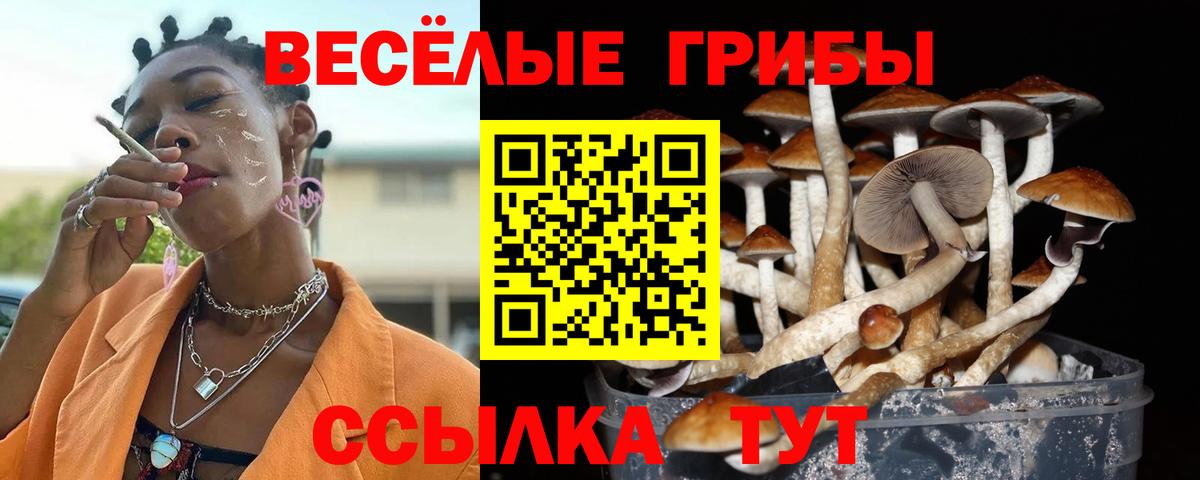 Галлюциногенные грибы Magic Shrooms  Вход с VPN  Новороссийск  Псилоцибиновые грибы MAGIC MUSHROOMS 
