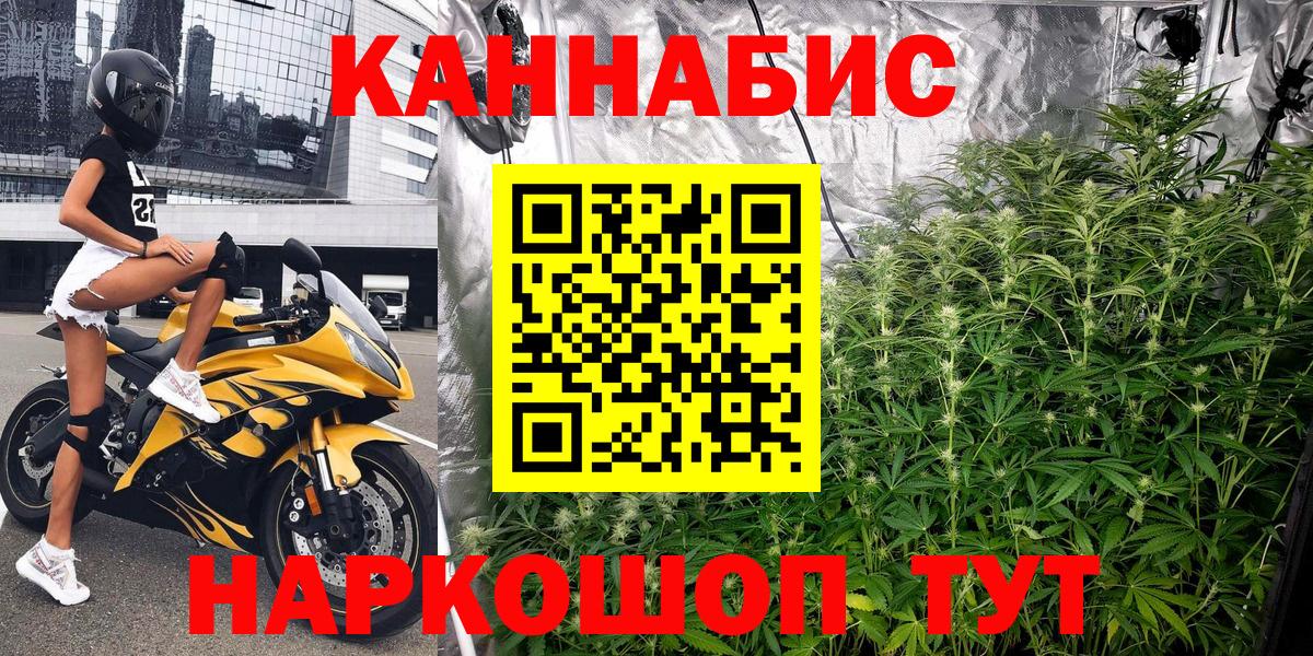 Шишки марихуана марихуана Новороссийск
